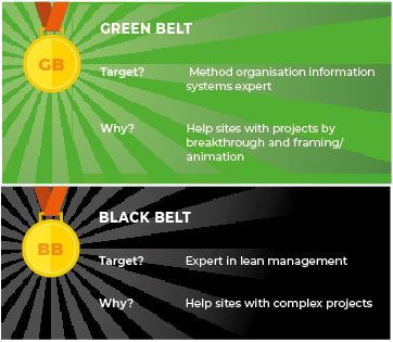Green belt - Black belt
